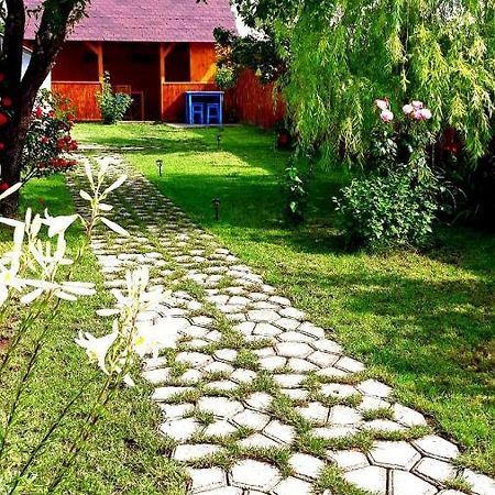 Willa Casa Pavel Jurilovca Zewnętrze zdjęcie