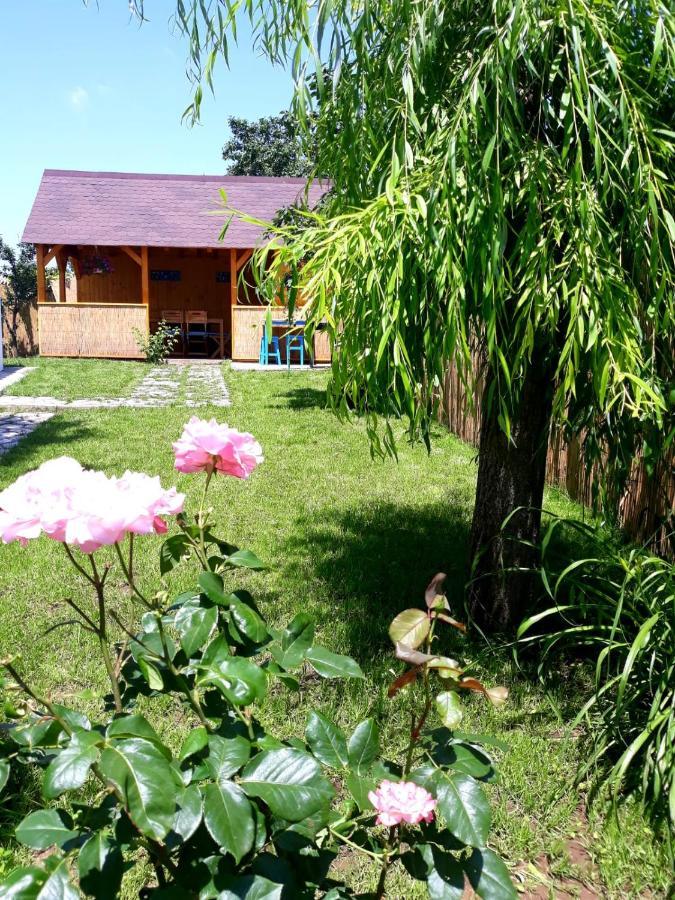 Willa Casa Pavel Jurilovca Zewnętrze zdjęcie